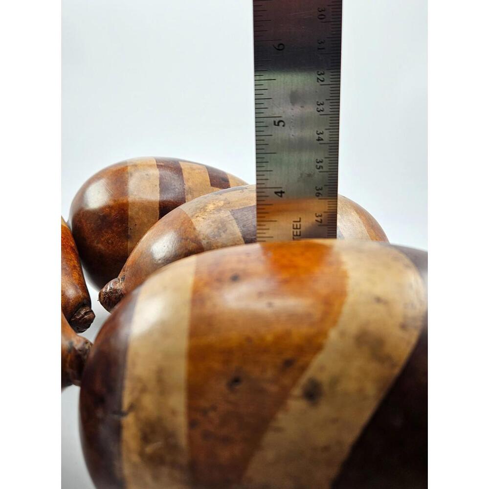 5 Large African Hollow Gourd Rattle Shakers Natural Earth Tones Bowl Fillers - Picture 3 of 9
